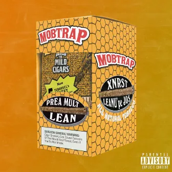 Prea Mult Lean Deluxe by xnrst