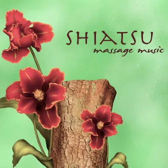 Shiatsu Massage Music – Revitalizing Healing Touch & Ayurveda, Shiatsu & Relaxing Massage Spa Music by Healing Massage Music Masters