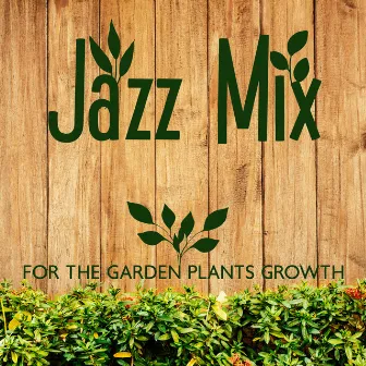 Jazz Mix For The Garden Plants Growth by 