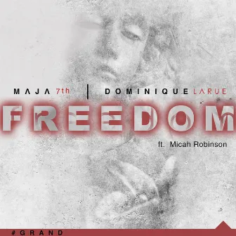 Freedom (feat. Micah Robinson) by Dominique Larue