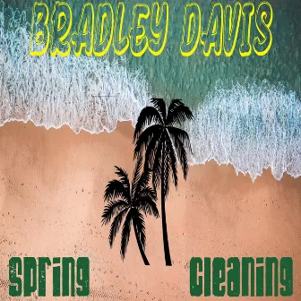 Spring Cleaning by Bradley Davis