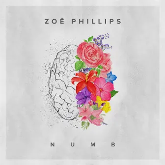 Numb by Zoë Phillips