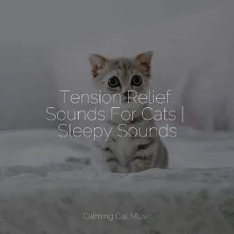 Tension Relief Sounds For Cats | Sleepy Sounds by Music for Resting Cats