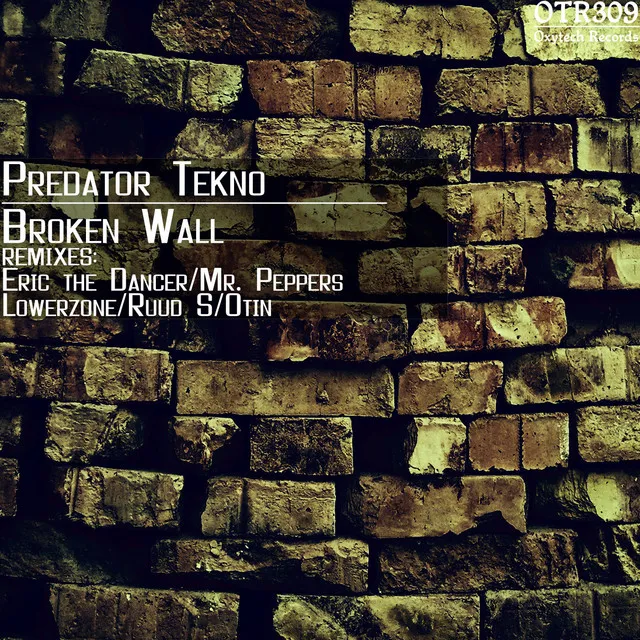 Broken Wall - Eric the Dancer Remix