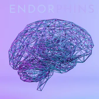 Endorphins by PREXSE