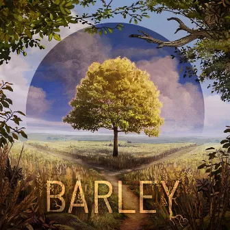 Barley by Lovisa Bergdahl