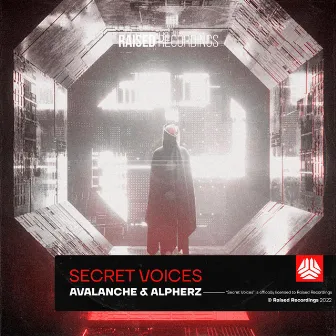 Secret Voices by 