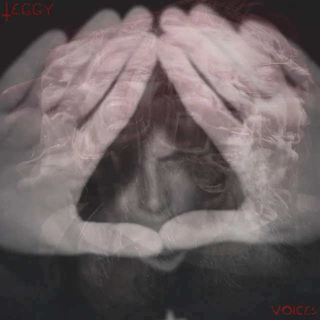 Voices