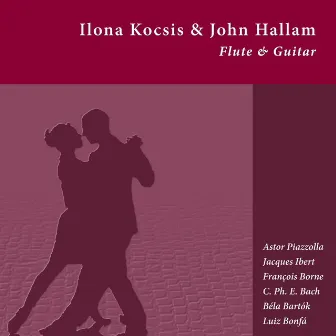 Flute & Guitar by John Hallam