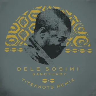 Sanctuary (Titeknots Remix) by Dele Sosimi