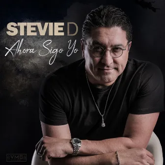 Ahora Sigo Yo by Stevie D