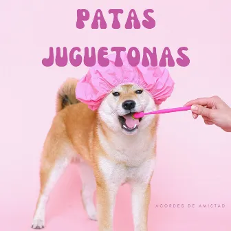 Patas Juguetonas: Acordes De Amistad by Jazz suave todas las estrellas