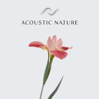 Acoustic Nature by Christopher Salt