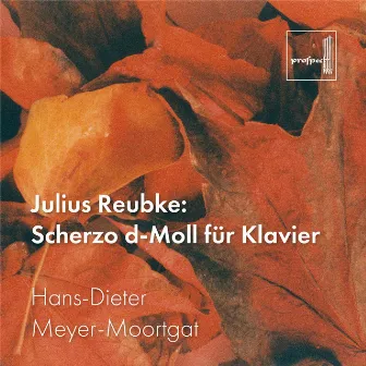 Reubke: Scherzo d-Moll für Klavier by Hans-Dieter Meyer-Moortgat