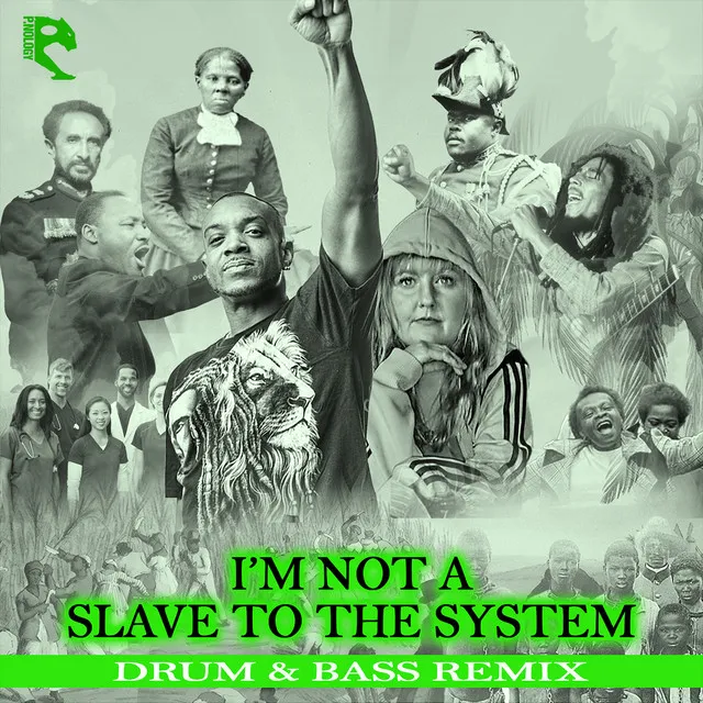 I'm Not a Slave to the System (Drum&Bass Remix)