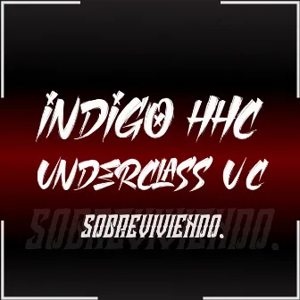 Sobreviviendo by Indigo Hhc