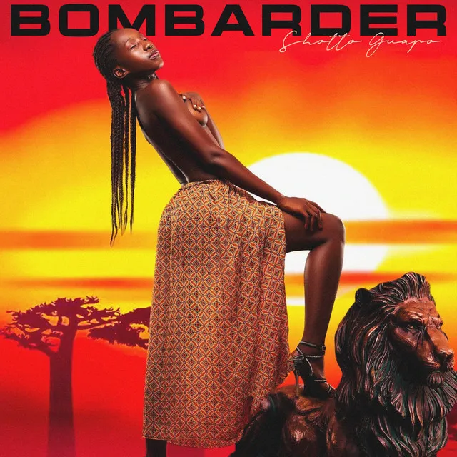 Bombarder