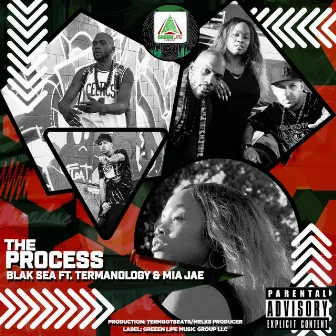 The Process by Blak Sea