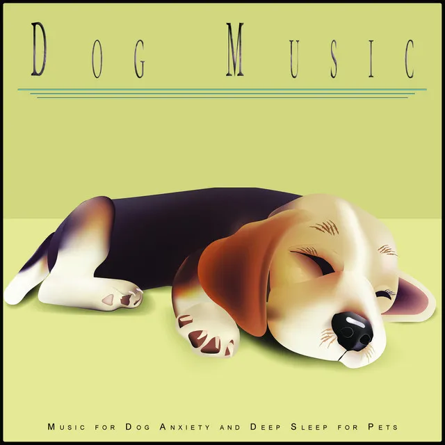 Soothing Piano Music for Dogs