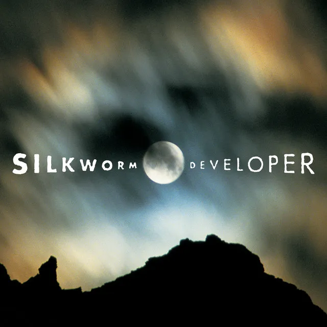 Developer