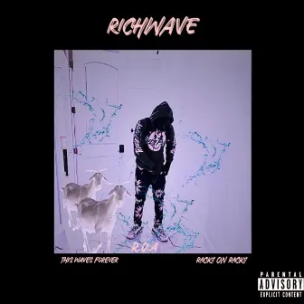 R.O.A by Richwave Negro