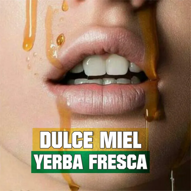 Dulce Miel