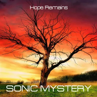 Hope Remains by Sonic Mystery