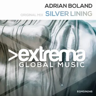 Silver Lining by Adrian Boland