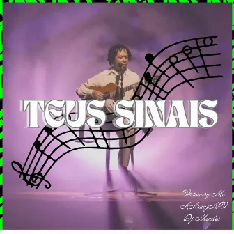 Teus Sinais by Araújo NV