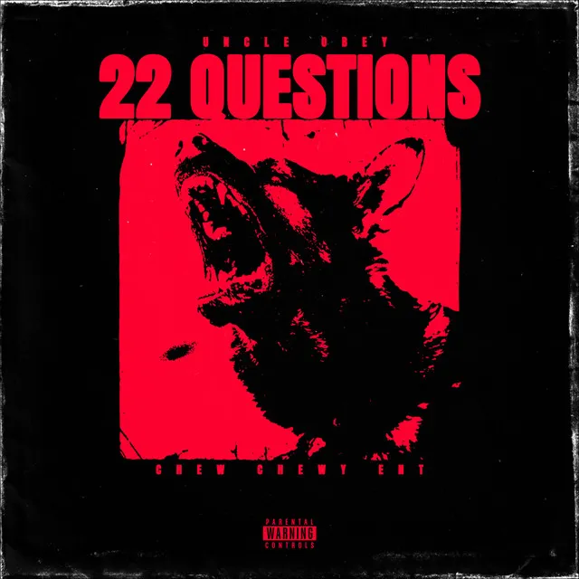 22 Questions