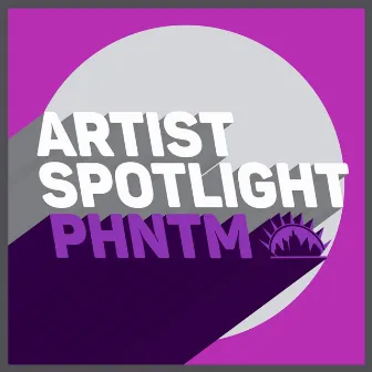 Artist Spotlight by PHNTM