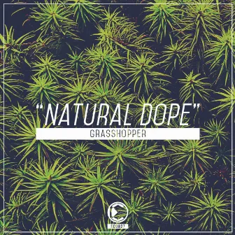 Natural Dope by Grasshopper