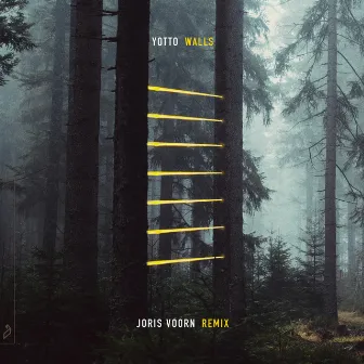 Walls (Joris Voorn Remix) by Joris Voorn