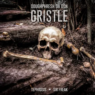 Gristle (Tephrosis and Sir Freak Metal Remix) by Sir Freak