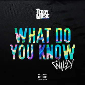 What Do You Know by Teddy Music