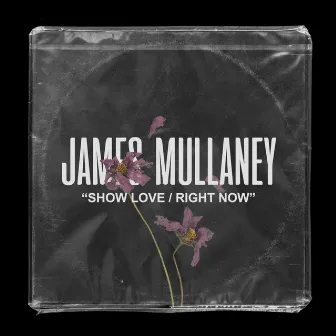 Show Love/Right Now by James Mullaney