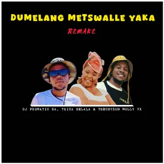 Dumelang Metswalle Yaka (Remake) by DJ Promatic SA