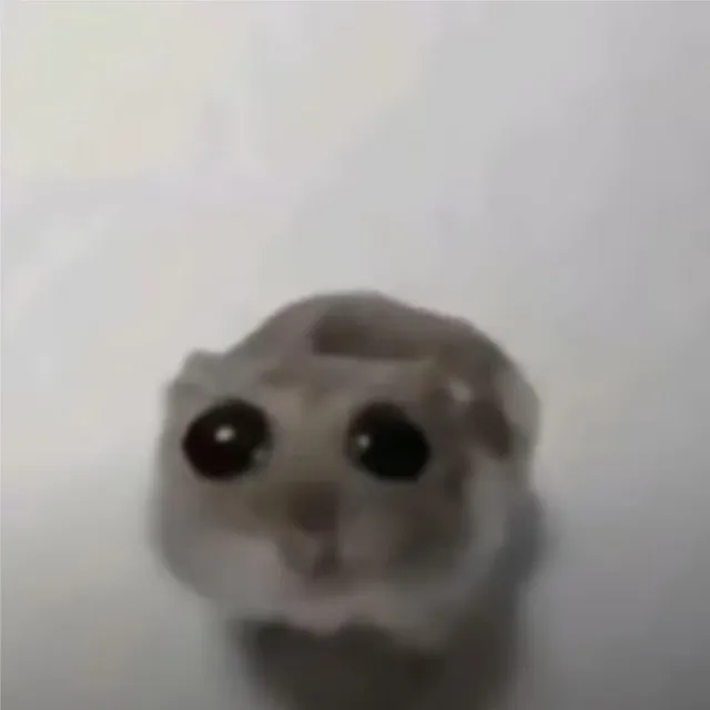 Sad Hamster