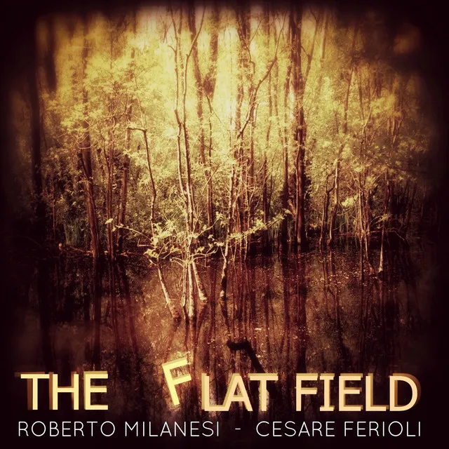 The Flat Field