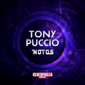 Notos by Tony Puccio