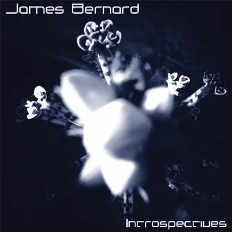 Introspective by James Bernard