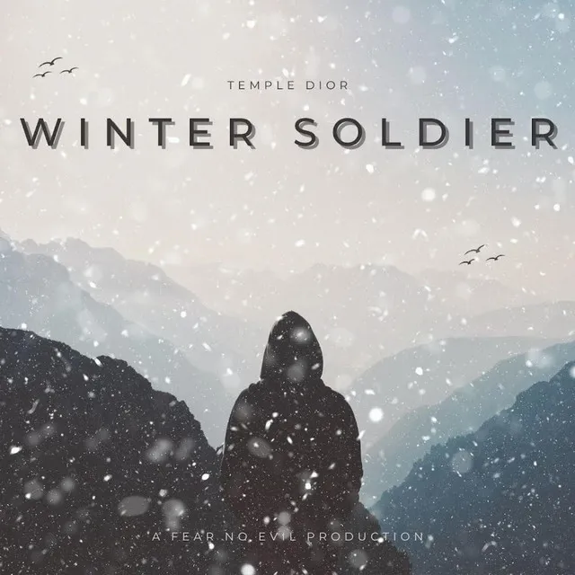 Winter Soldier