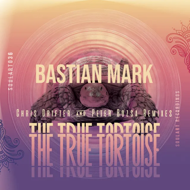 The True Tortoise - Peter Bozsa Remix