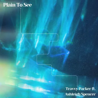 Plain To See by Travvy Packer