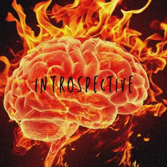 Introspective by GN$