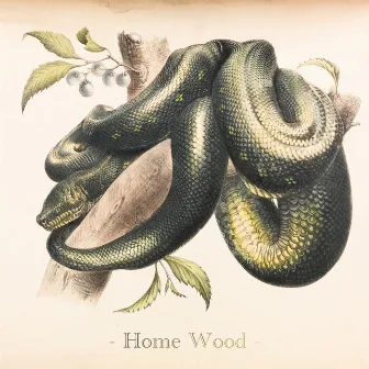 Home Wood by Unknown Artist