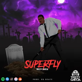 Superfly by Trizzy Garcia