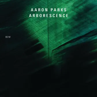 Arborescence by Aaron Parks