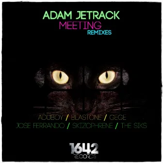 Meeting (Remixes) by Adam Jetrack