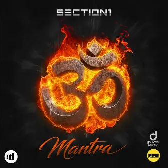 Mantra by Section 1